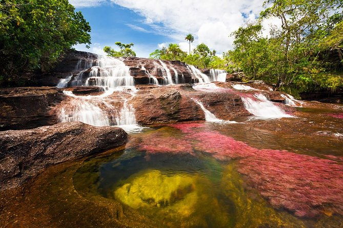 cano-cristales-jungle-4-day-trip-from-bogota