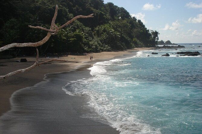 cano-island-from-sierpe