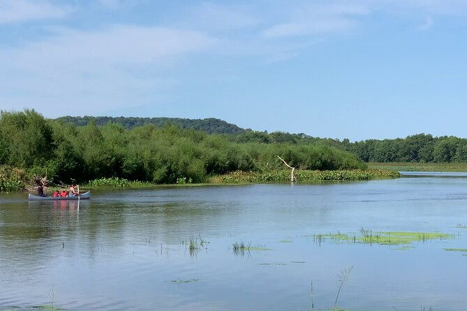 canoe-kayak-day-tour-of-mississippi-wildlife-fish-refuge
