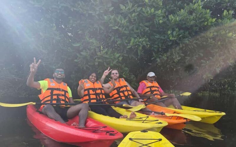 Canoe Ride through Mangroves in Kumbalangi From Cochin - Final Thoughts: The Value of the Kumbalangi Canoe Ride