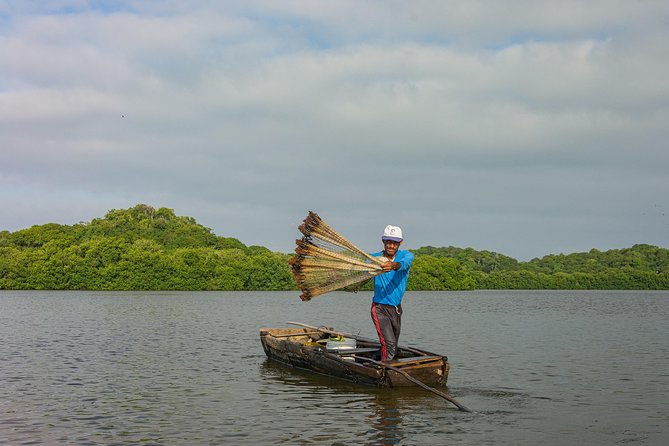 canoeing-birdwatching-on-the-mangrove-forest-in-la-virgen-lake