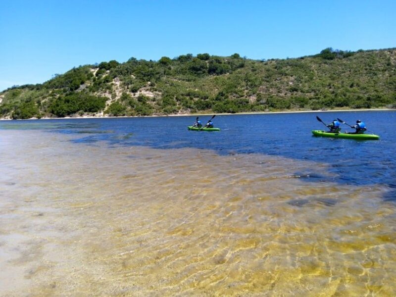 CANOEING IN SEDGEFIELD AT OYSTERS EDGE, GARDEN ROUTE - Frequently Asked Questions