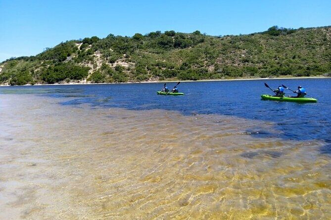 Canoeing in Sedgefield at Oysters Edge, Garden Route - What Reviewers Say
