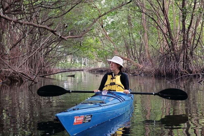 canoeing-mangrove-experience-in-jakarta