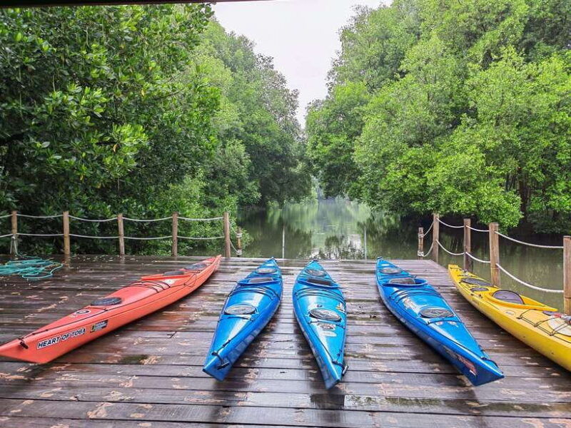 canoeing-mangrove-experience-in-jakarta