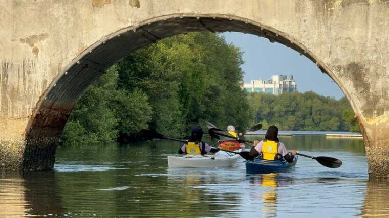 canoeing-mangrove-experience-in-jakarta