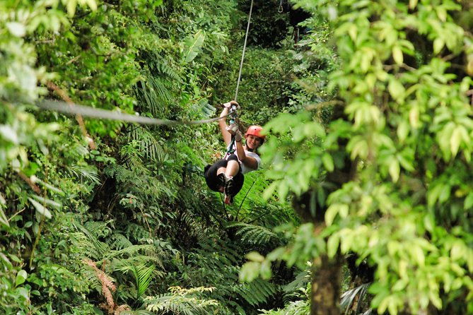 canopy-adventure-from-monteverde