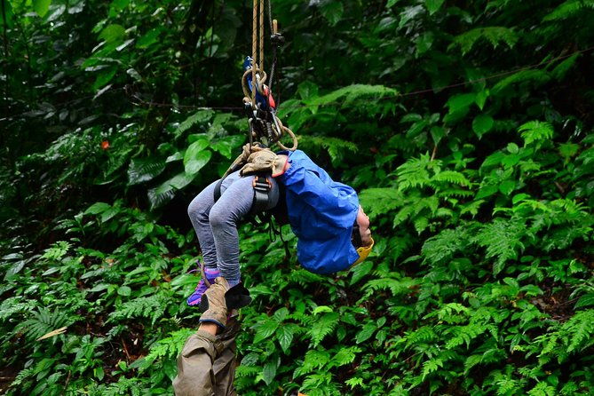 canopy-tour-tarzan-swing-night-walk