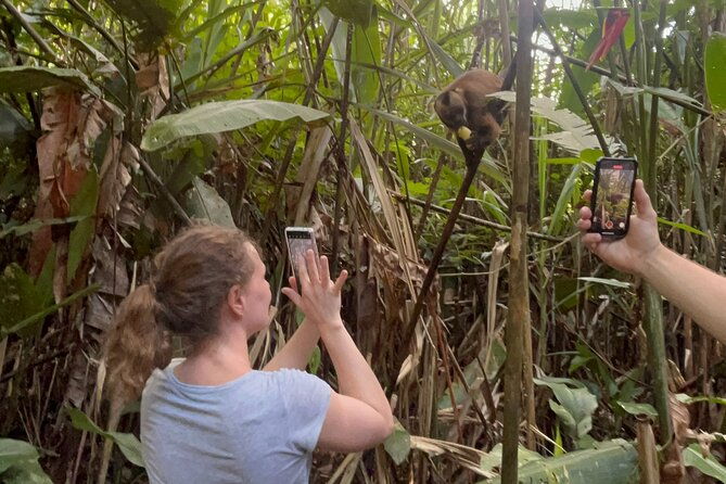 canopy-walkway-zip-line-kayak-and-monkey-island-in-tambopata