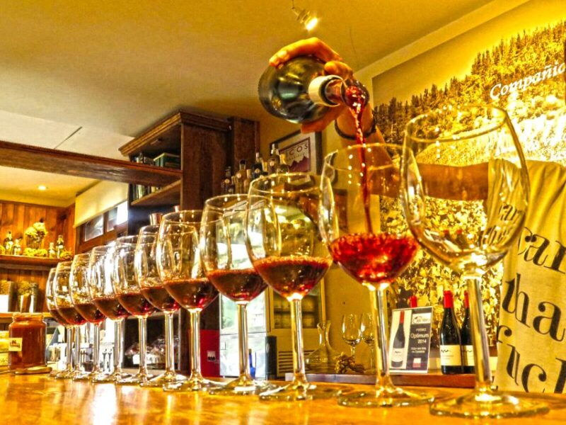 cantabria-wine-and-liquor-tasting-guided-tour-with-snacks