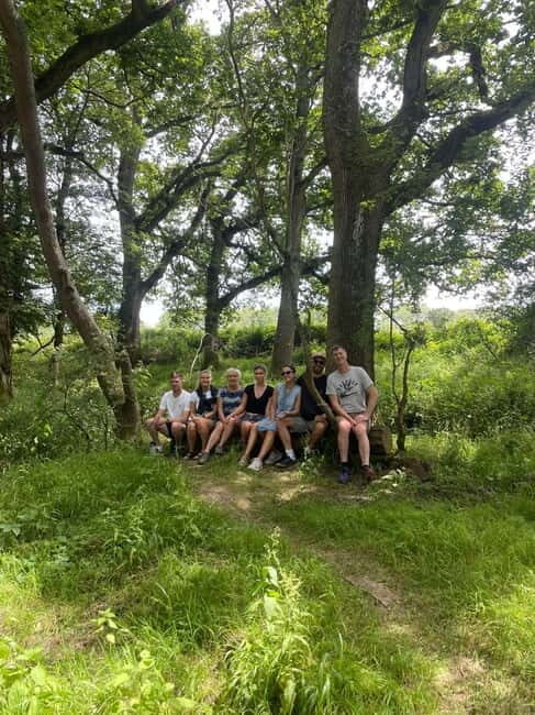 Canterbury: City Nature Tour with Forest Bathing - Who Will Love This Tour?
