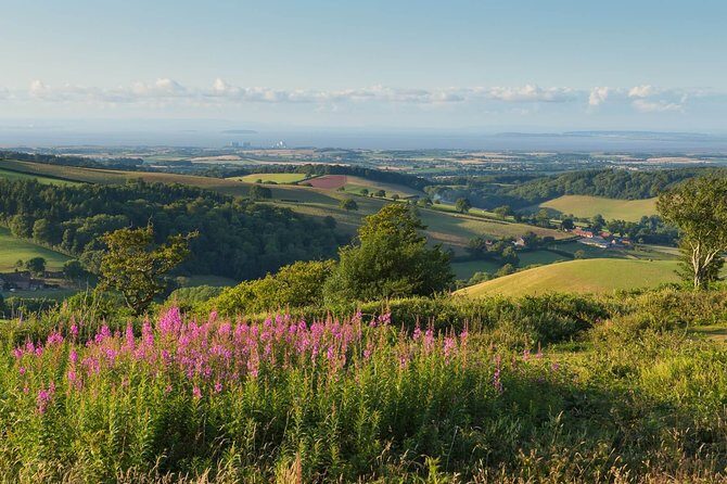 Canterbury & the White Cliffs of Dover Tour (Small-Group) - Summary: Who Is This Tour Best For?