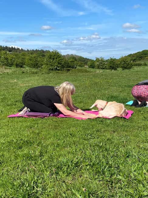 Canterbury: Yoga with Goats and Sheep - The Value of This Experience