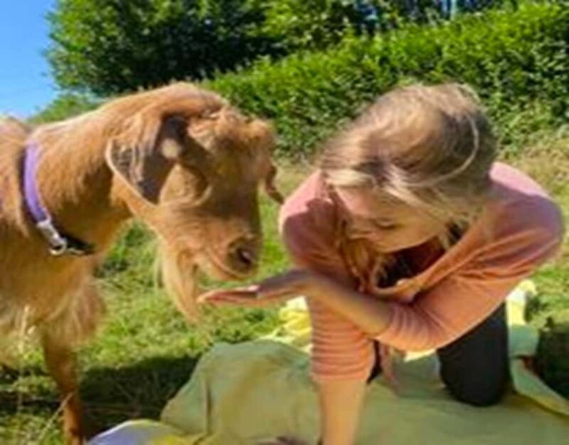 Canterbury: Yoga with Goats and Sheep - FAQs