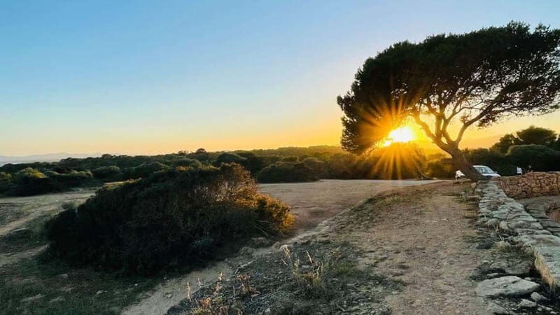 Canyamel: TimeForTwo, fun game,quiz and walk in nature - Key Points
