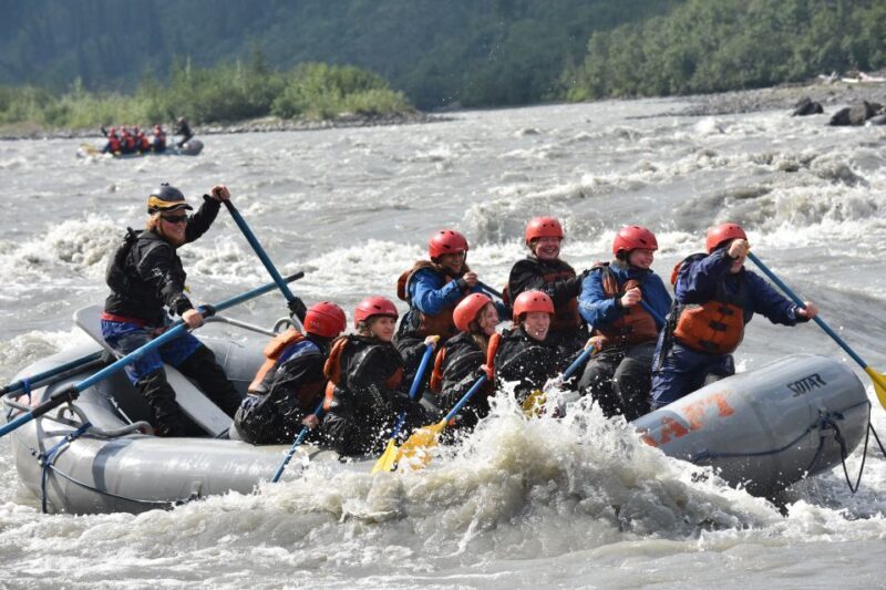Canyon Run: Denali National Park Class IV Whitewater Rafting - What Makes This Tour Stand Out