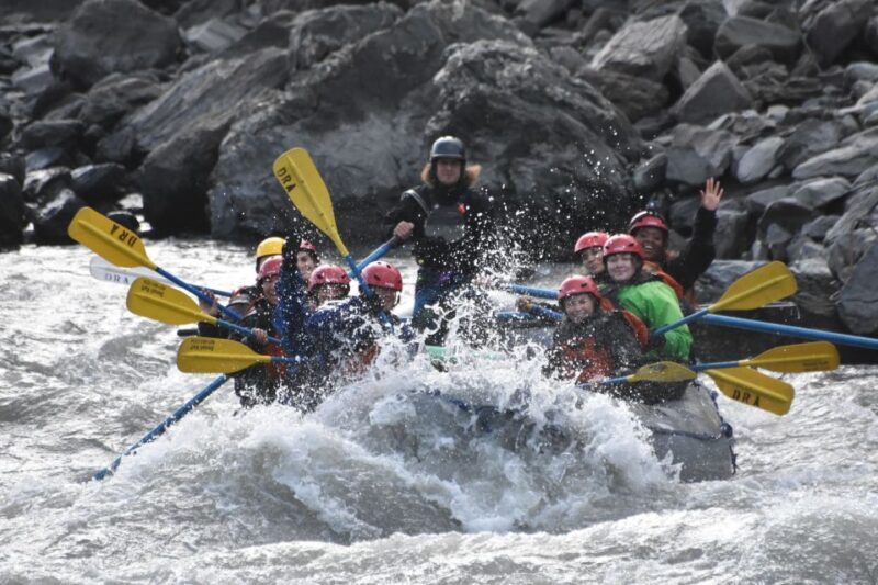 Canyon Run: Denali National Park Class IV Whitewater Rafting - Value and Pricing Analysis