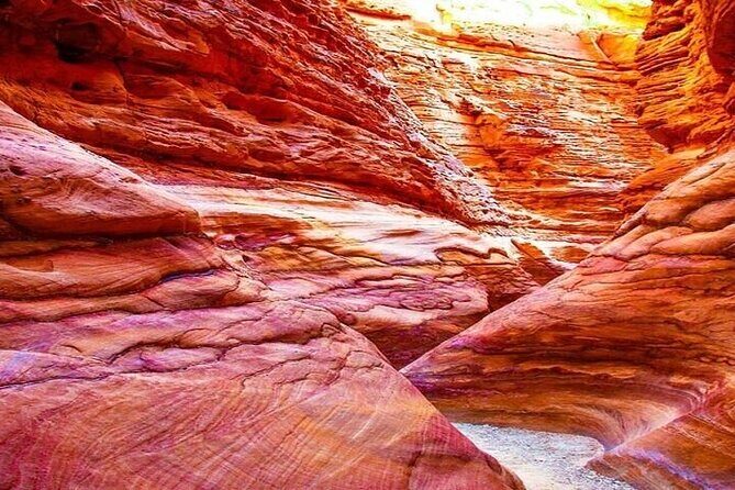 Canyon Salama Jeep, Snorkeling & Lunch - Sharm El-Sheikh - The Sum Up