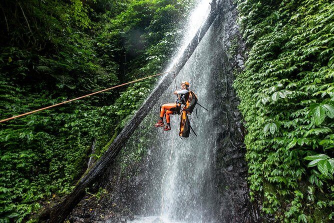 Canyoning Bali, Tamata Canyon (Adventure, discovery, nature) - Practicalities and Value