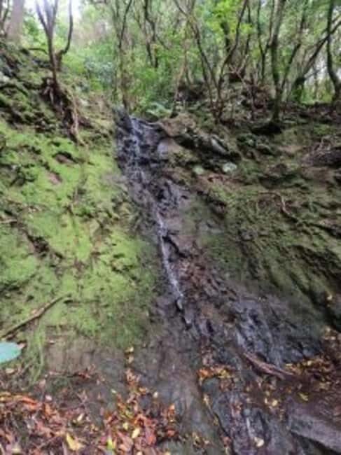 Canyoning in Anaga - Why You Should Book This Experience