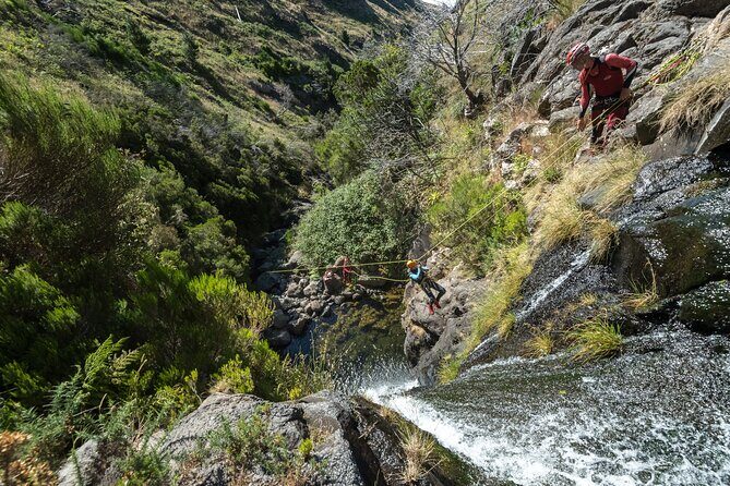 Canyoning in Madeira: Ribeira das Cales - Funchal Ecological Park - Why This Tour Is Worth It