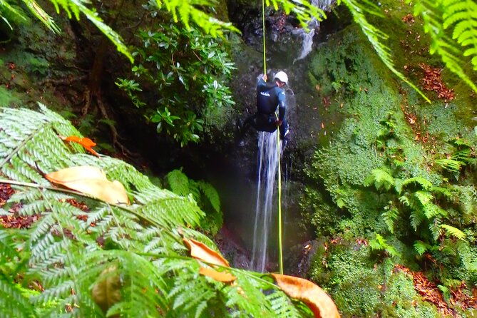 canyoning-madeira-island-level-one