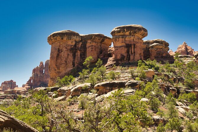 canyonlands-full-day-private-tour-and-hike