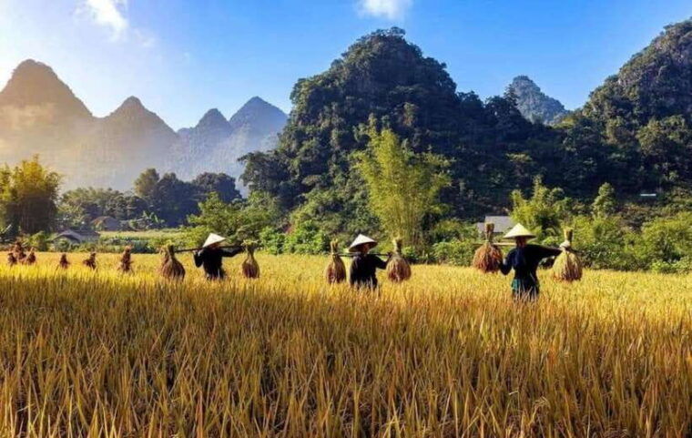 cao-bang-cao-bang-trekking-tour-5-day-4-night