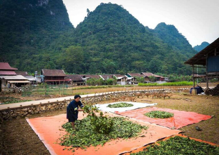 cao-bang-highlights-3-day-cultural-and-natural-loop