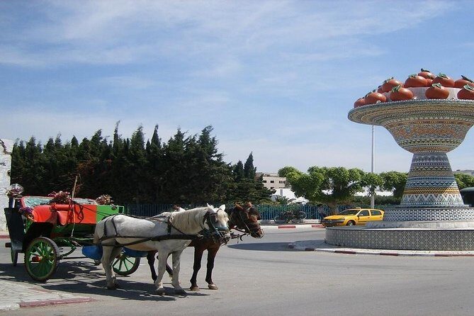 Cap Bon Guided Day Tour from Tunis - What to Expect on Your Cap Bon Day Tour
