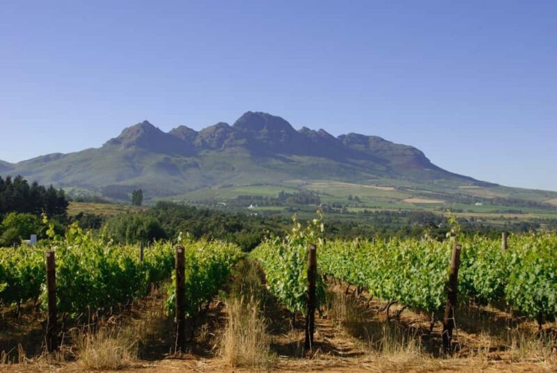 Cape 5-Star 4-Day Package  The Ultimate Luxury Experience - Practical Details & Tips