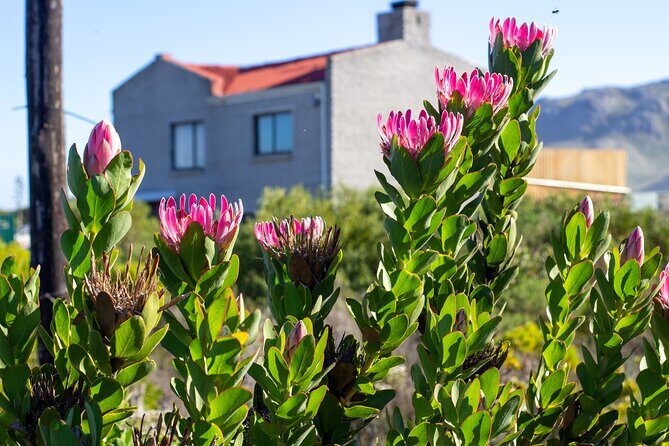 Cape Agulhas Full Day tour - FAQs