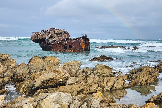 Cape Agulhas, Hermanus Whale Watching, Penguins and Wine Tasting - Final Thoughts  