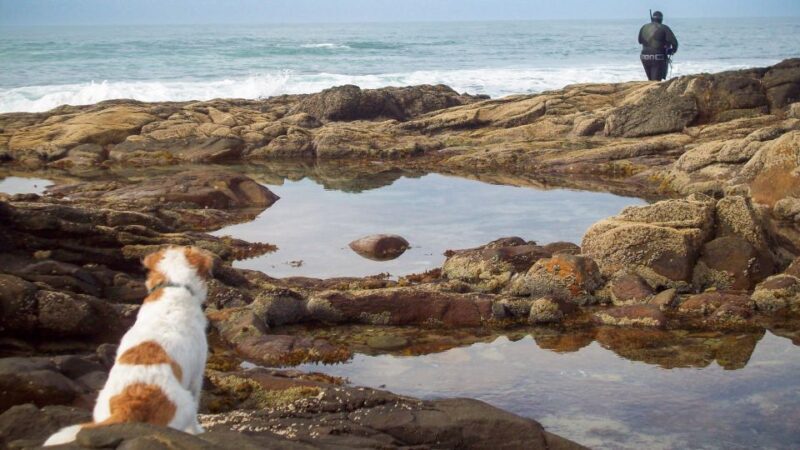 Cape Agulhas: Private Day Tour to Africa's Southernmost Tip. - Why Choose a Private Tour to Cape Agulhas?