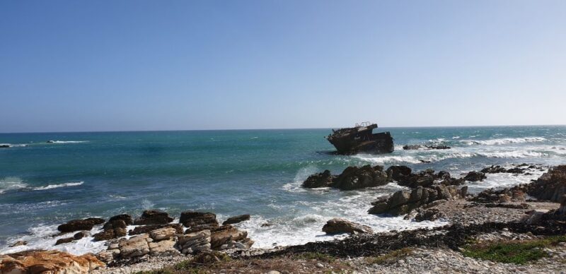 Cape Agulhas: Private Day Tour to Africa's Southernmost Tip. - What Makes This Tour Stand Out?