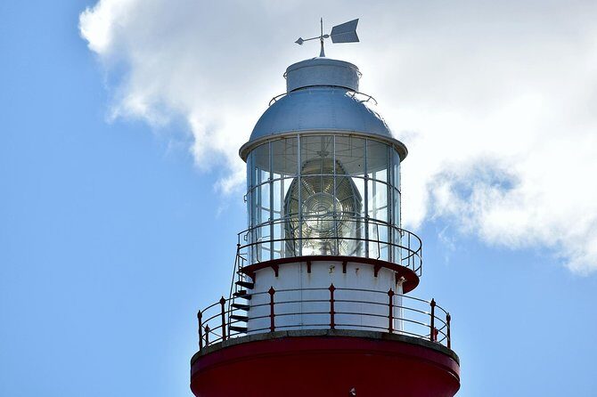 Cape Agulhas | Stony Point Nature Reserve - An In-Depth Look at the Itinerary