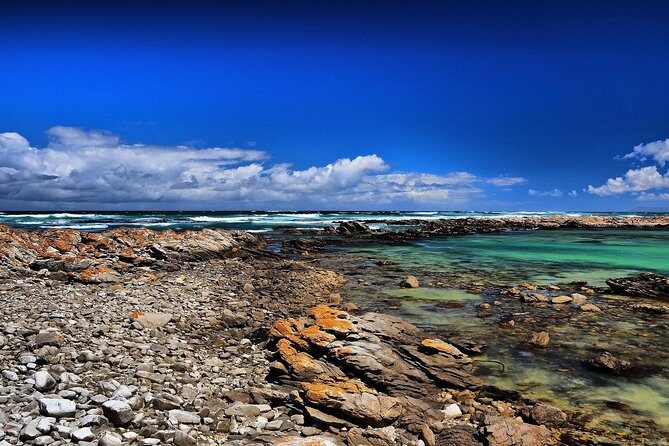 Cape Agulhas | Stony Point Nature Reserve - FAQ