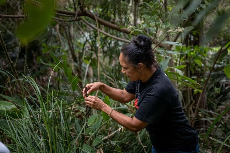 Cape Byron Aboriginal Tour - Key Points