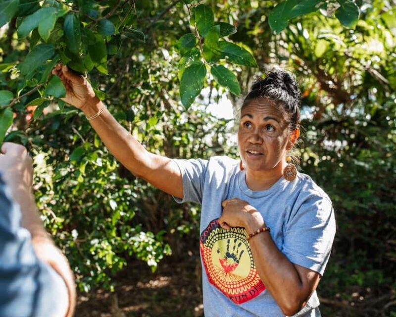 Cape Byron Aboriginal Tour - Who Will Love This Experience?
