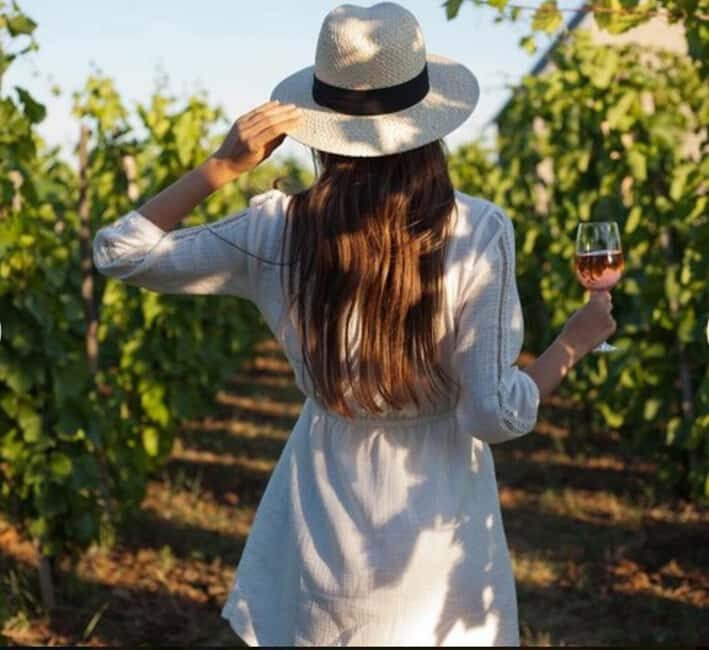Cape City Tour and Award-Winning Constantia Wineries. - An Honest Look at What This Tour Offers