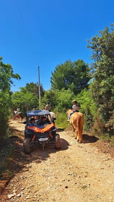Cape Kamenjak Family Buggy 4-seater 2.5h Tour & Safari Bar - Introduction to the Experience