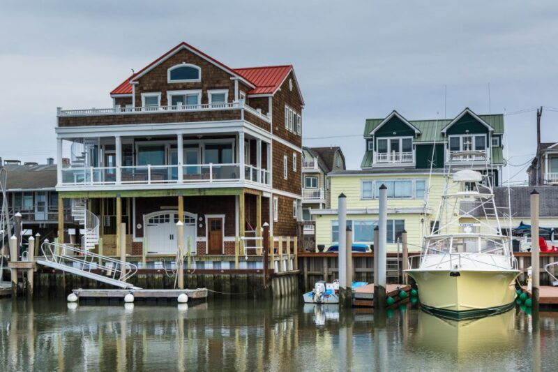 cape-may-2-hour-dolphin-watching-cruise