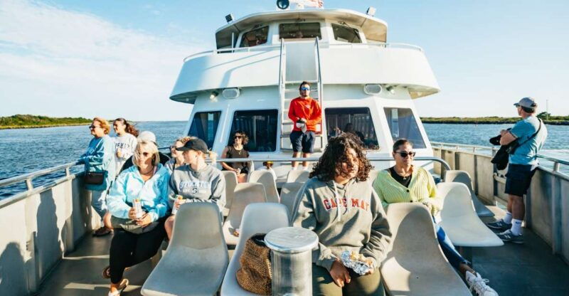 cape-may-cape-may-island-sunset-cruise-dolphin-watching