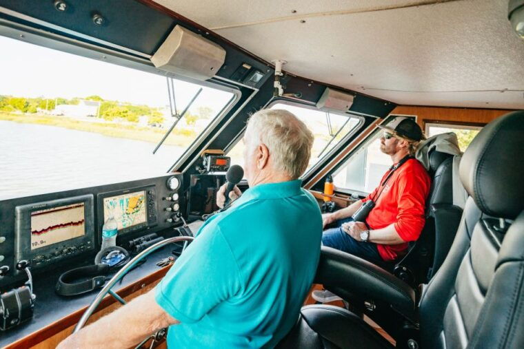 cape-may-cape-may-island-sunset-cruise-dolphin-watching