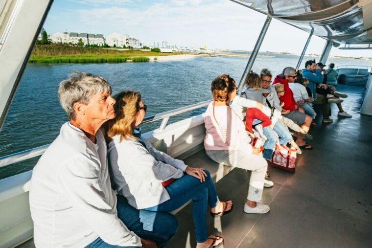 cape-may-cape-may-island-sunset-cruise-dolphin-watching