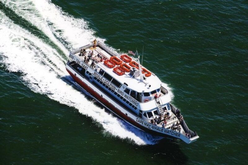 cape-may-grand-lighthouse-cruise