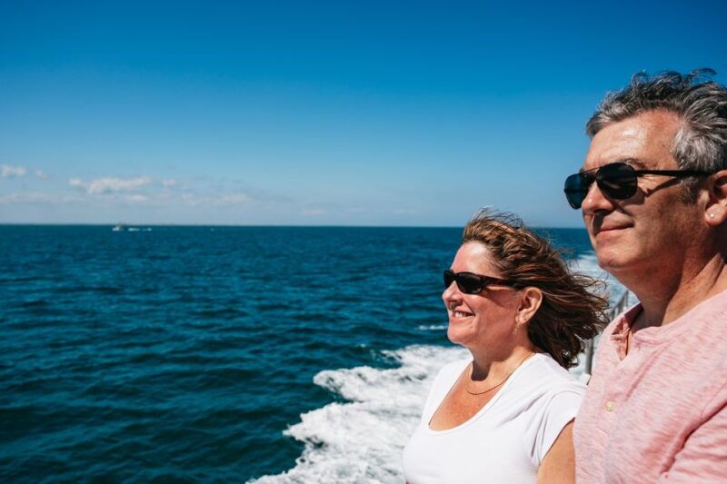 cape-may-jersey-shore-whale-and-dolphin-watching-cruise