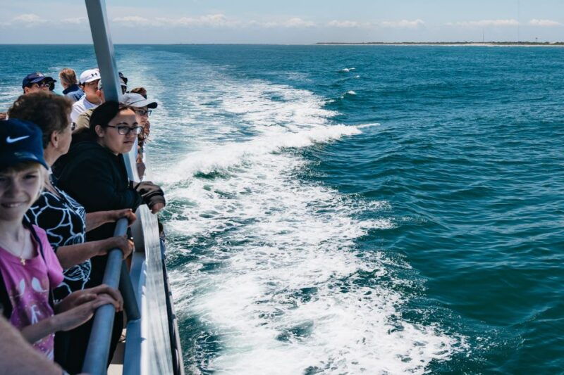 cape-may-jersey-shore-whale-and-dolphin-watching-cruise