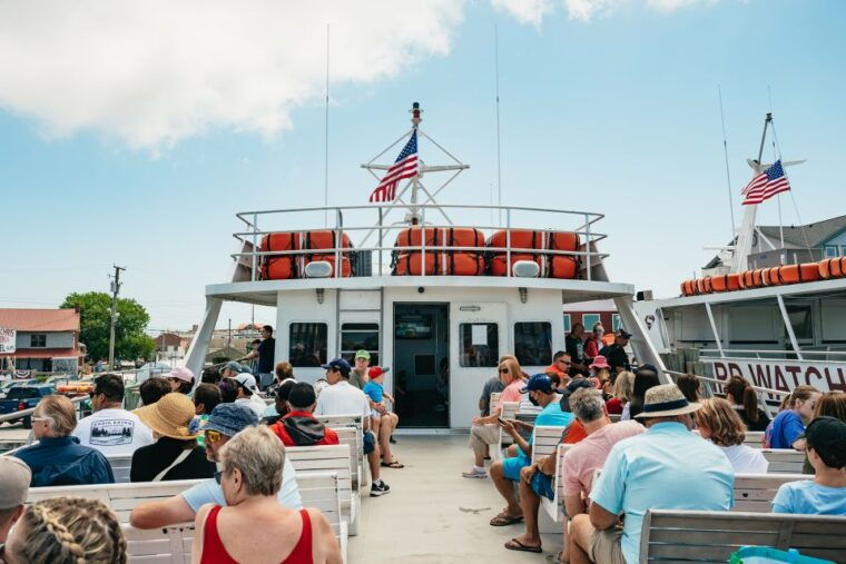 cape-may-jersey-shore-whale-and-dolphin-watching-cruise