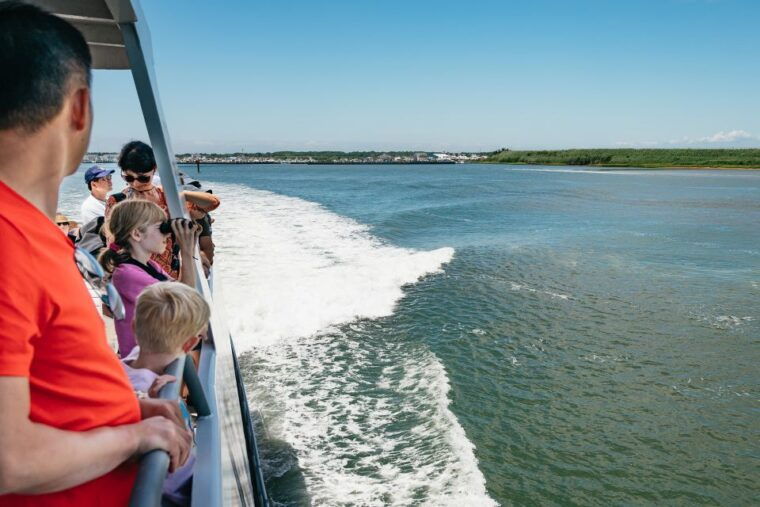 cape-may-jersey-shore-whale-and-dolphin-watching-cruise